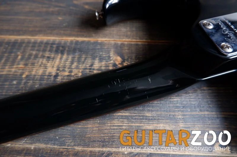Aria Pro II RS-WCT BLK Wild Cat — фото 20