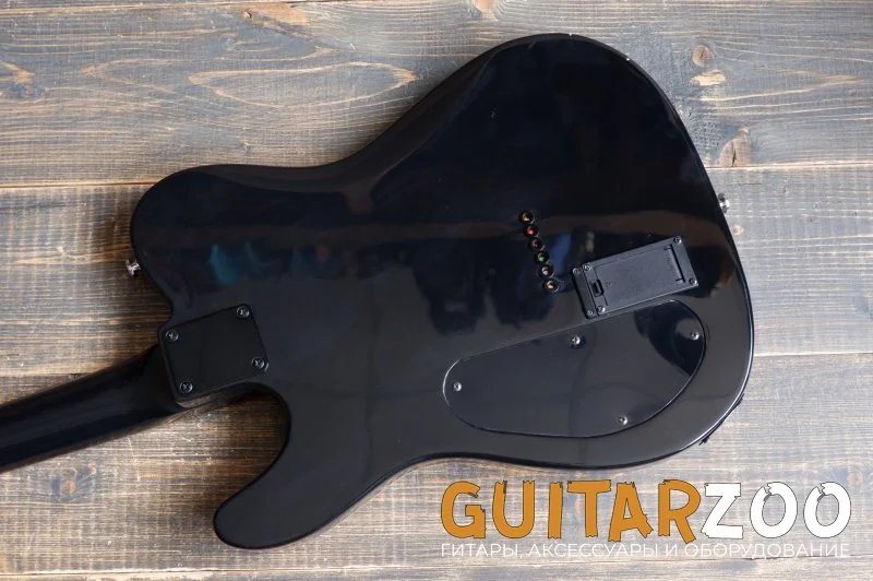 Ryabovol Telecaster BLK H-H — фото 14