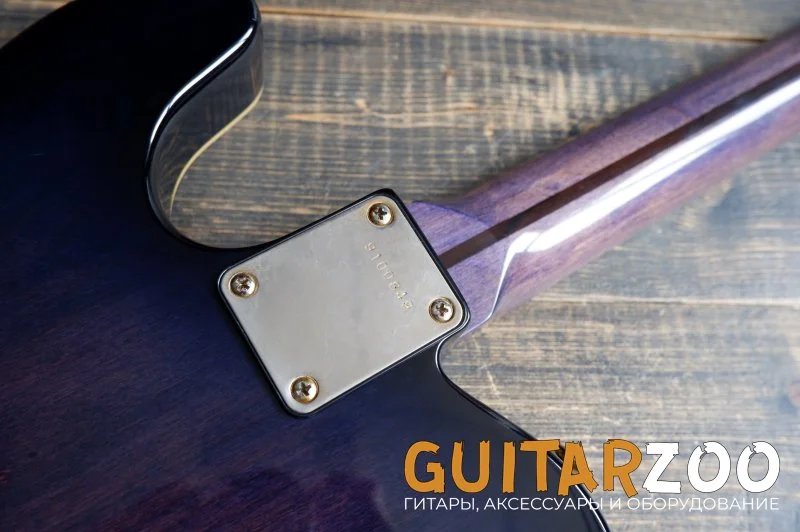 Электрогитара Bill`s Brothers BTJ-50 Telecaster — фото 11