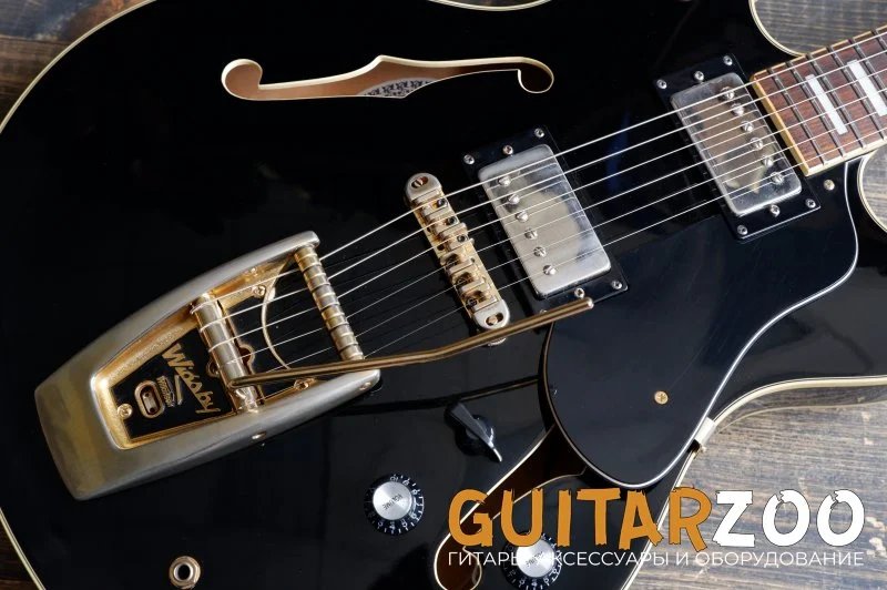 Полуакустическая гитара Aria Pro II TA-65 BLK — фото 3